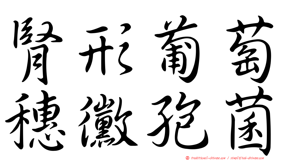 腎形葡萄穗黴孢菌
