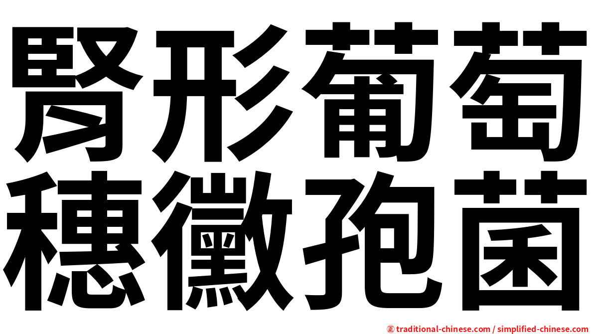 腎形葡萄穗黴孢菌