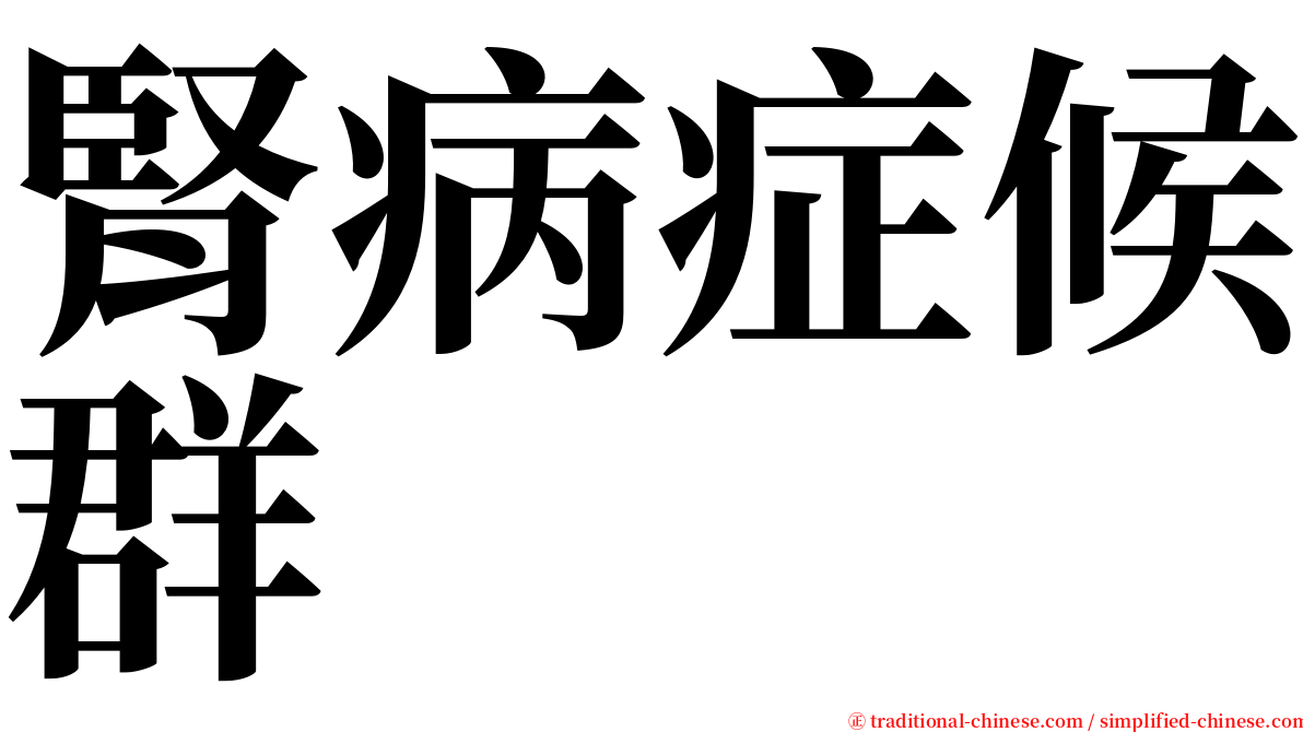 腎病症候群 serif font