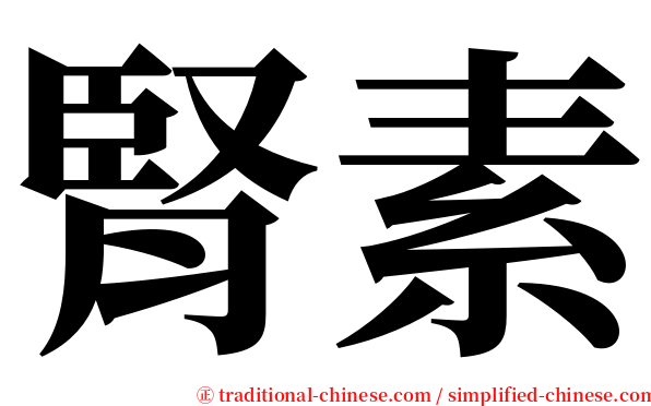 腎素 serif font