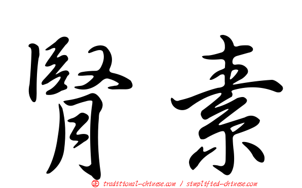 腎素