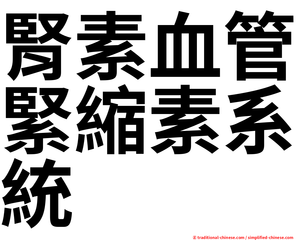 腎素血管緊縮素系統