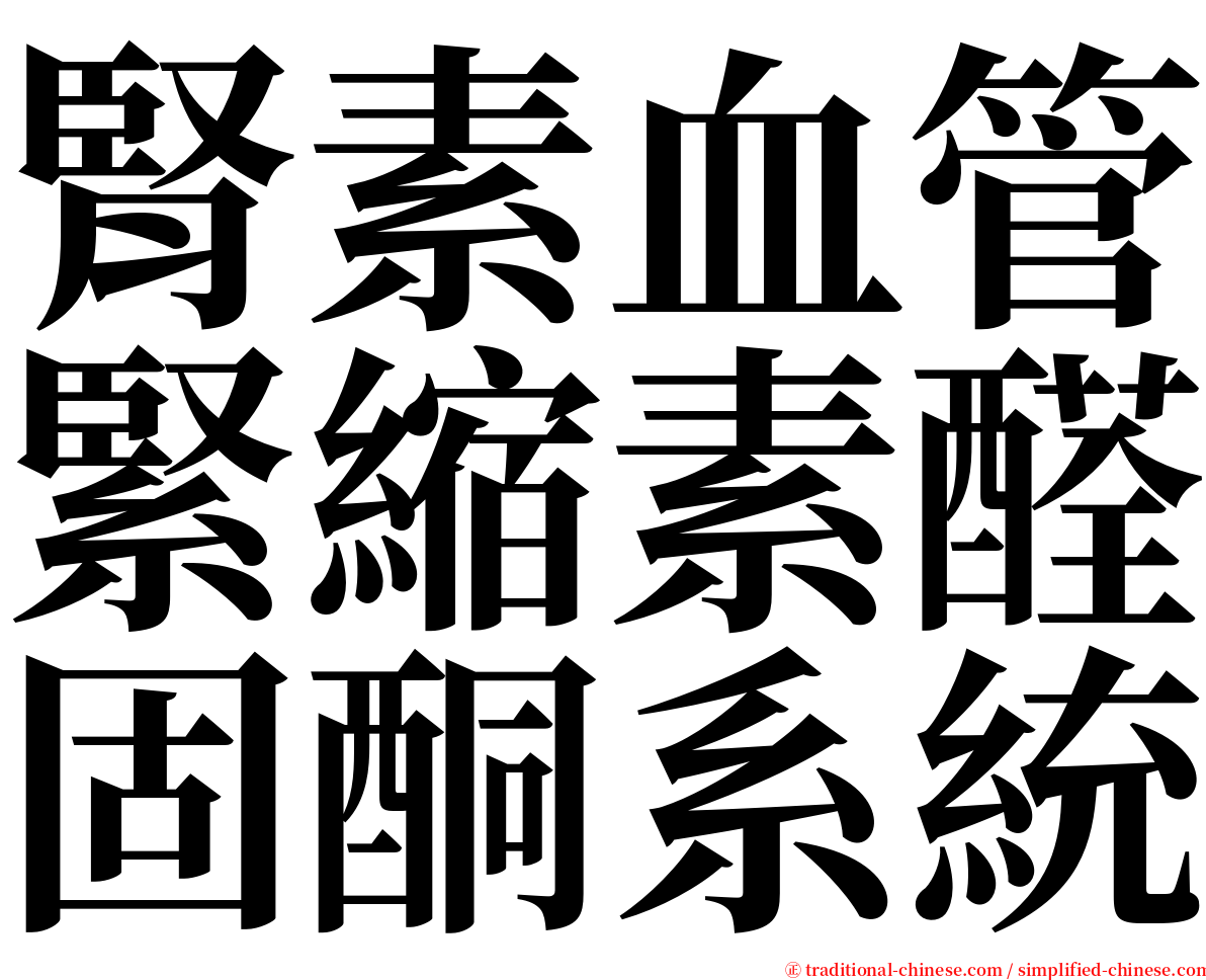 腎素血管緊縮素醛固酮系統 serif font