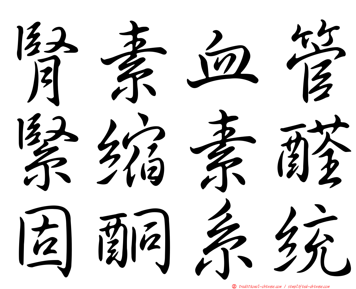 腎素血管緊縮素醛固酮系統