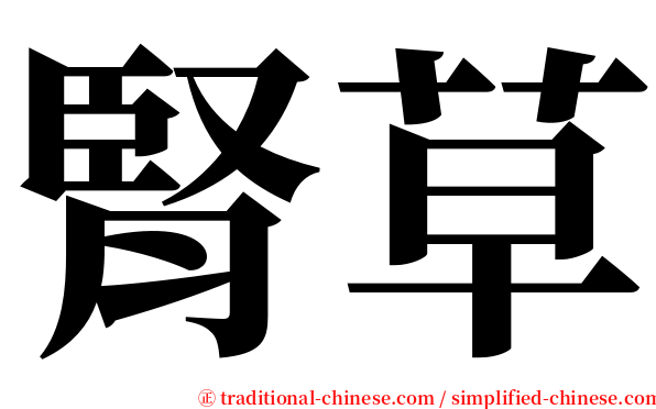 腎草 serif font