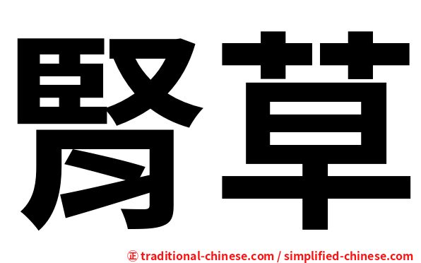 腎草