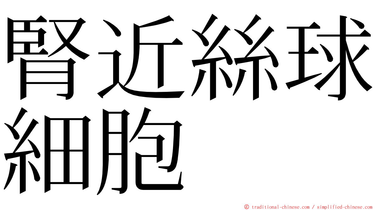 腎近絲球細胞 ming font
