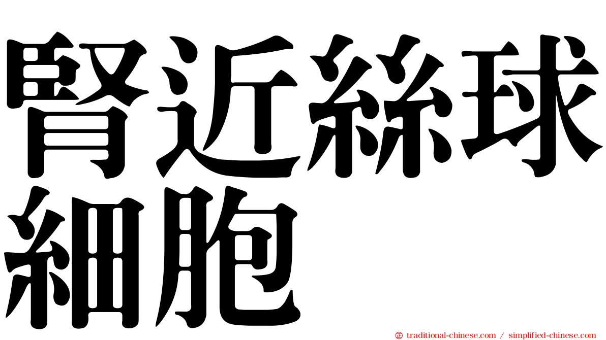 腎近絲球細胞
