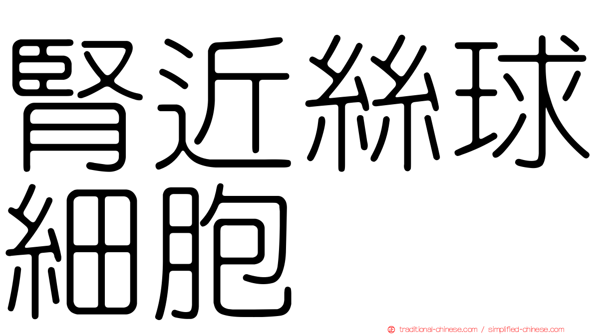 腎近絲球細胞