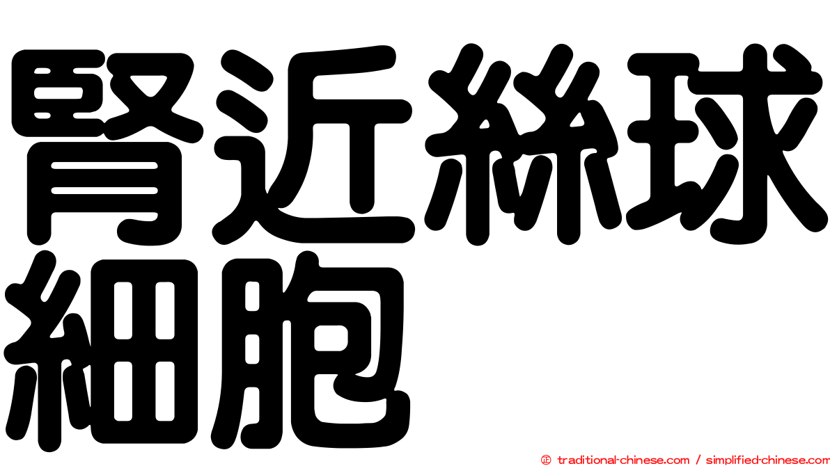 腎近絲球細胞