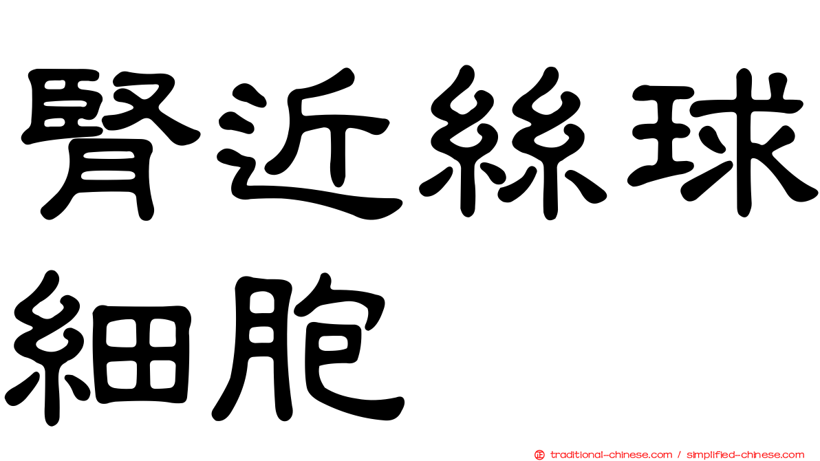 腎近絲球細胞