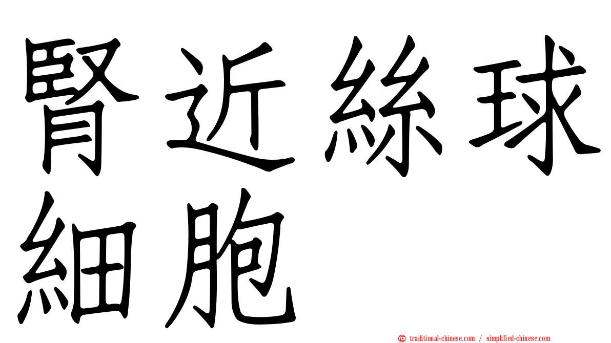 腎近絲球細胞