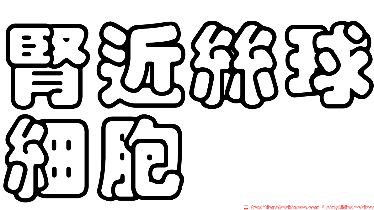 腎近絲球細胞
