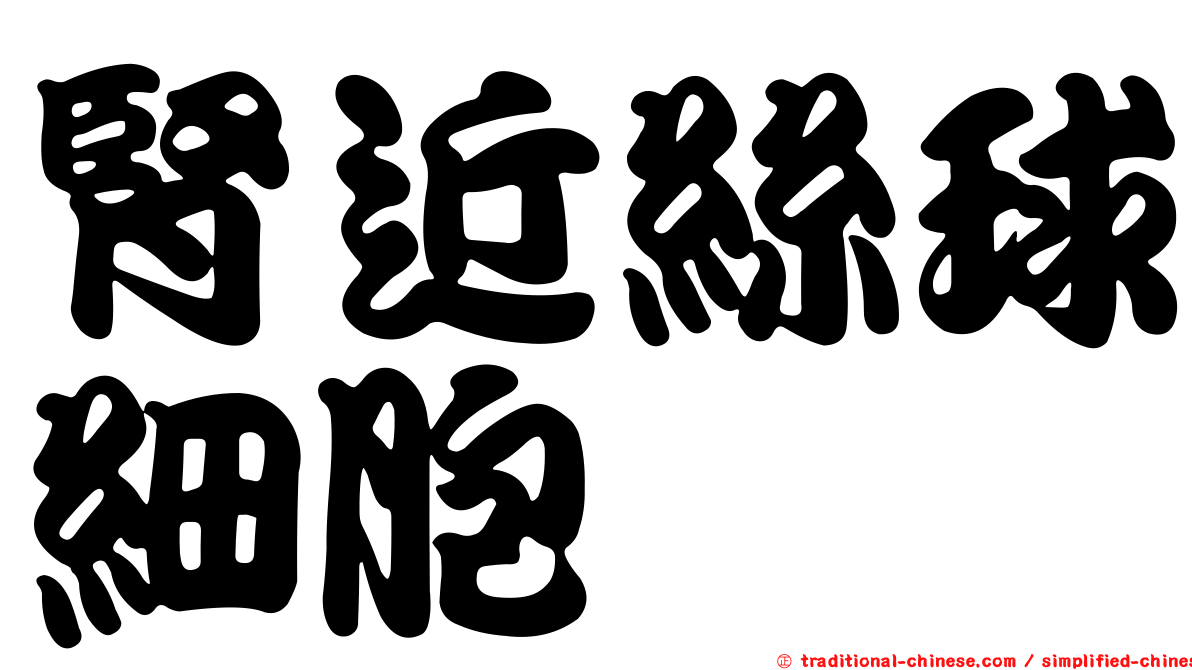 腎近絲球細胞