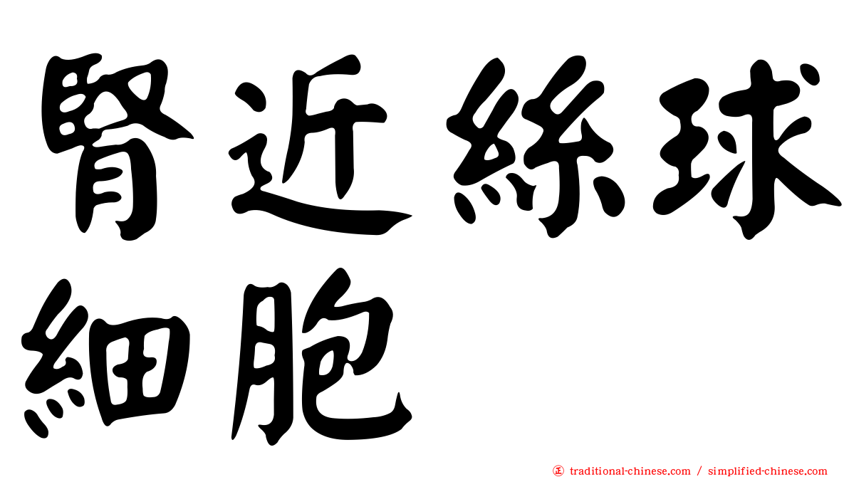 腎近絲球細胞