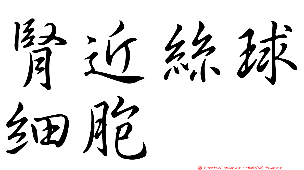 腎近絲球細胞