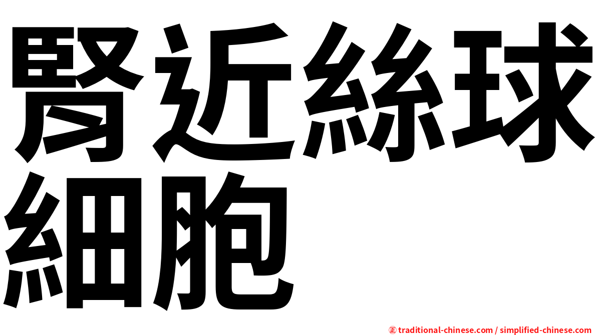 腎近絲球細胞