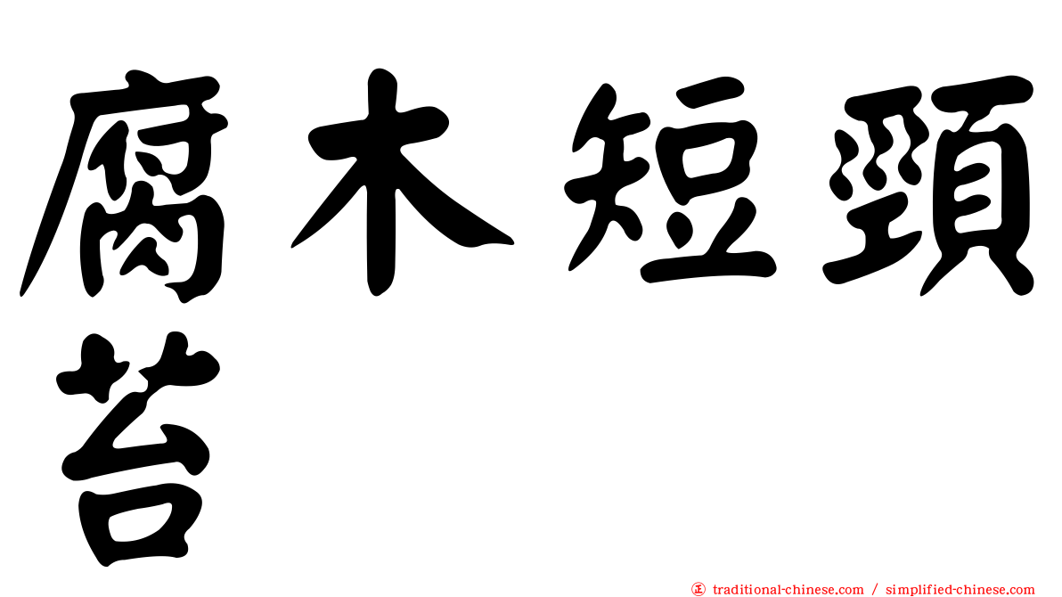 腐木短頸苔