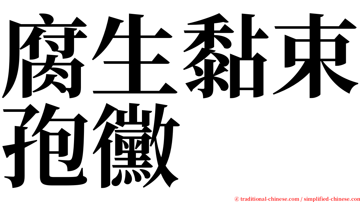 腐生黏束孢黴 serif font