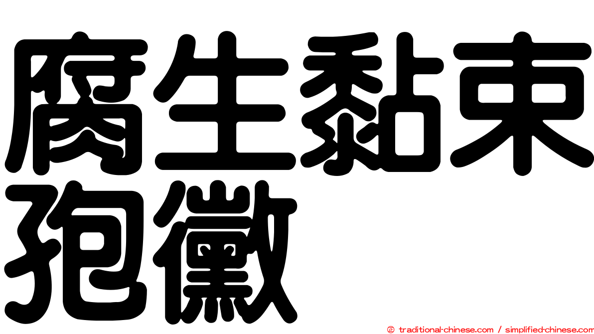腐生黏束孢黴