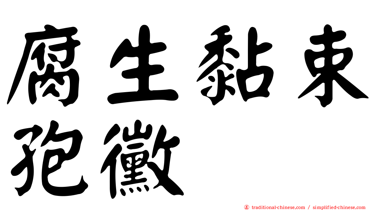 腐生黏束孢黴