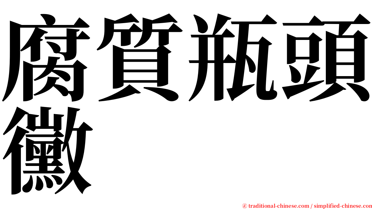 腐質瓶頭黴 serif font