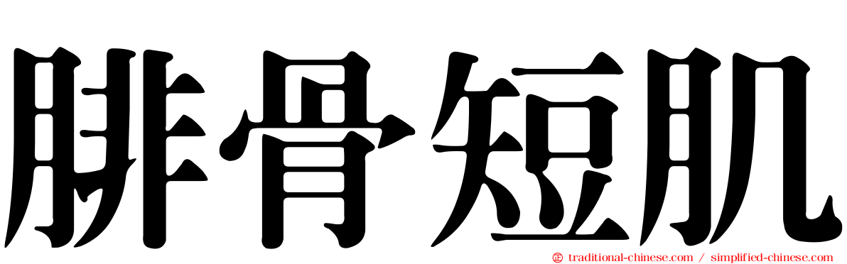 腓骨短肌