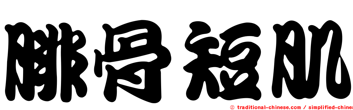 腓骨短肌