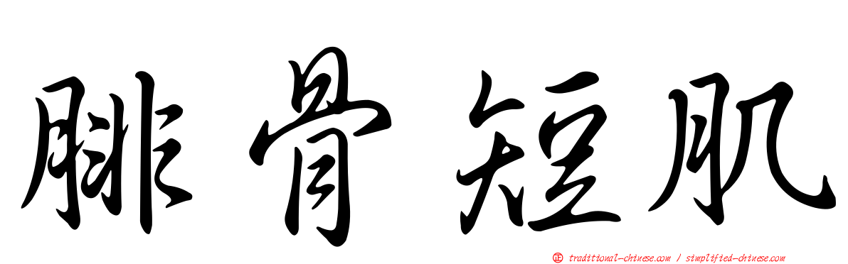 腓骨短肌