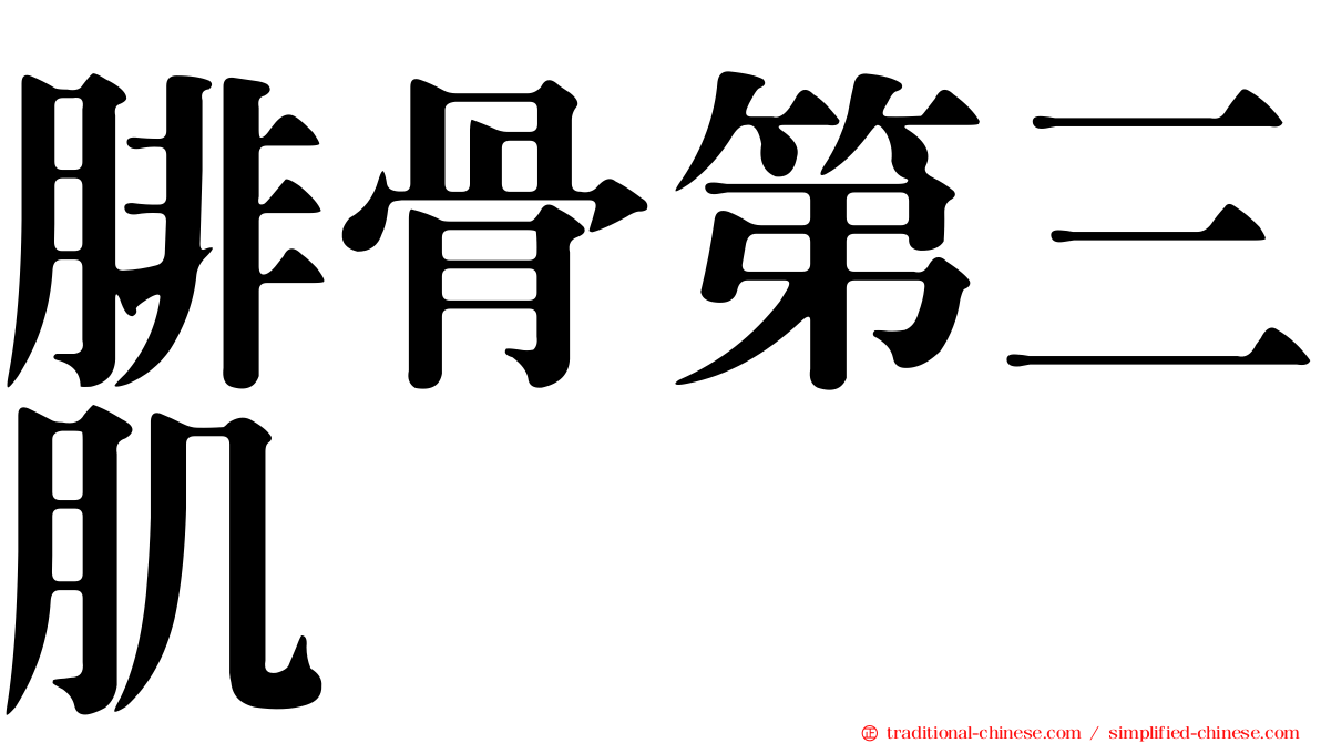 腓骨第三肌