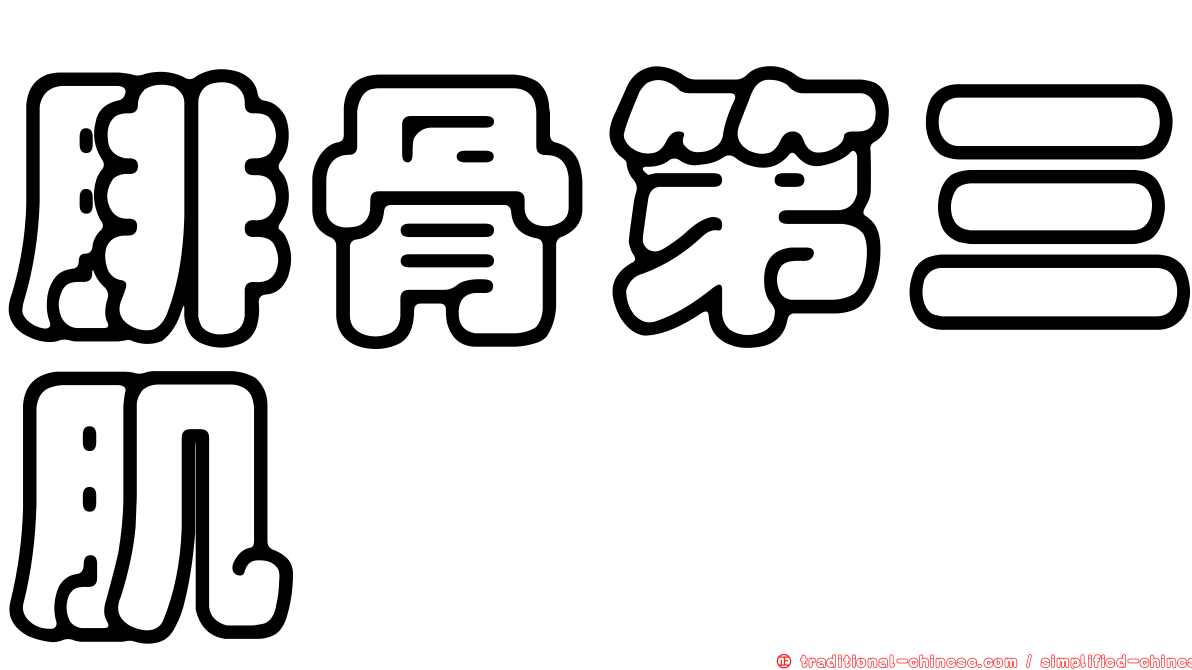 腓骨第三肌