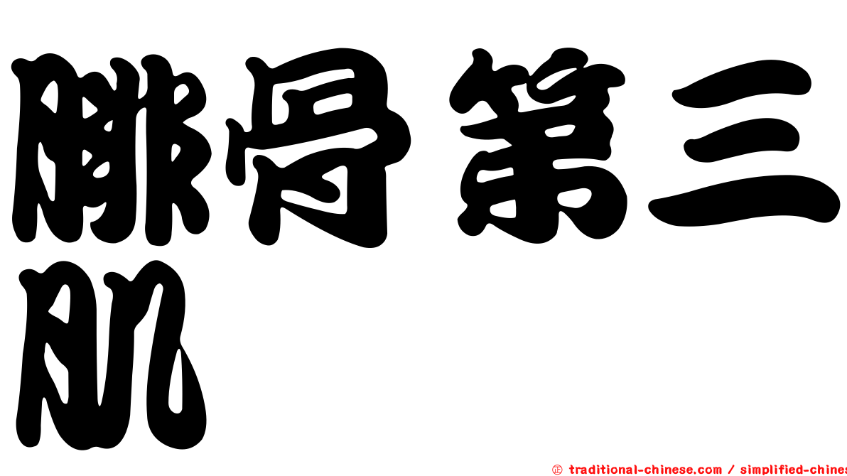 腓骨第三肌