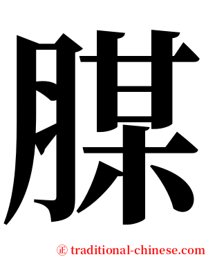 腜 serif font