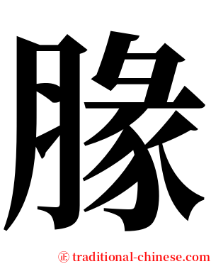 腞 serif font