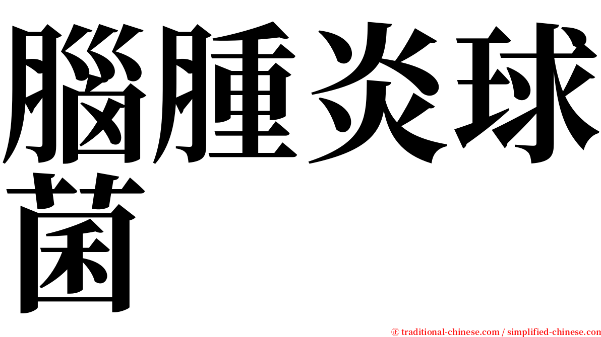 腦腫炎球菌 serif font