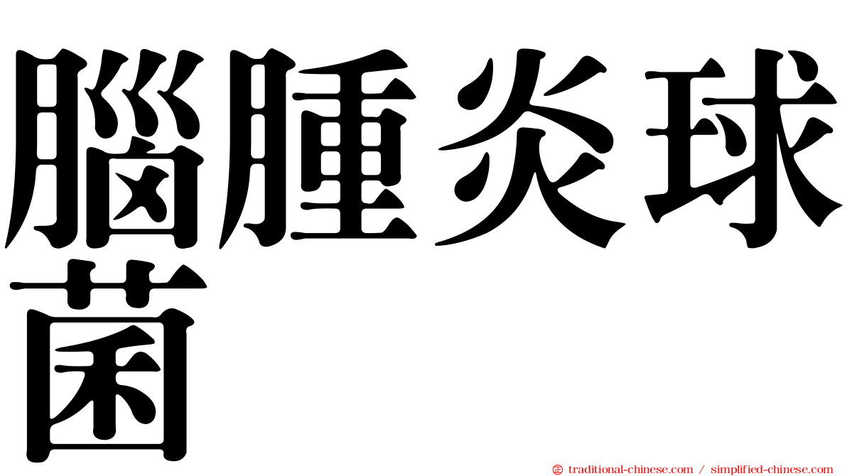 腦腫炎球菌