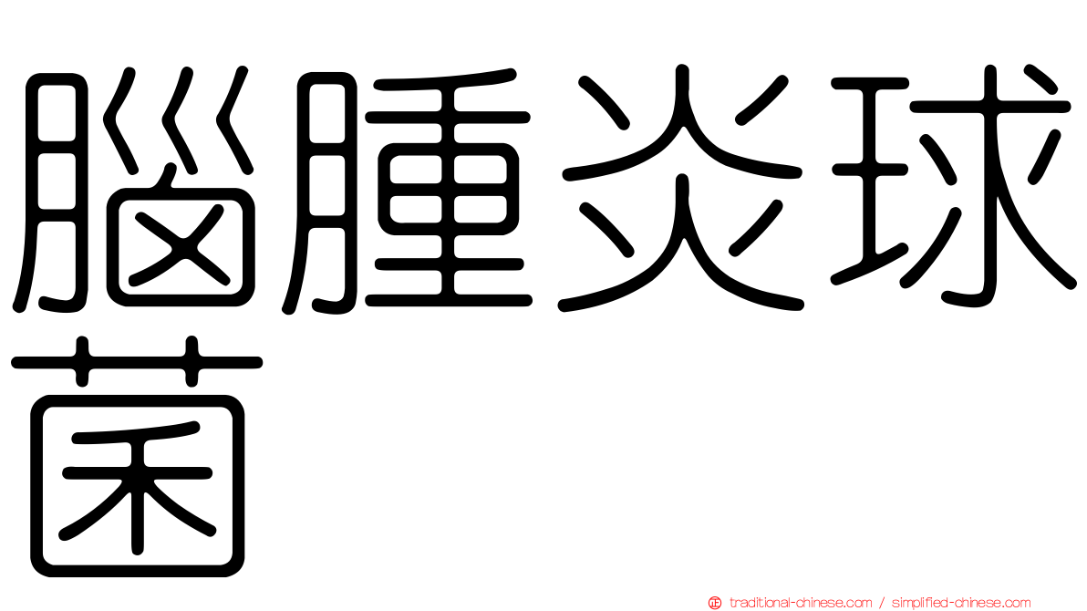 腦腫炎球菌