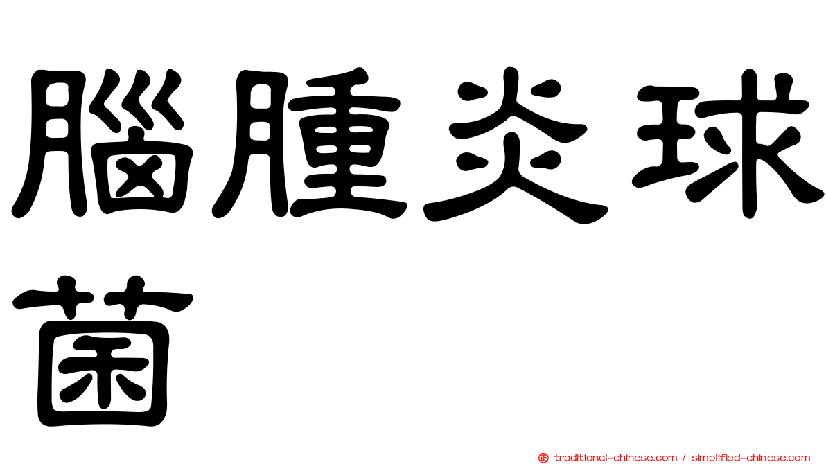 腦腫炎球菌