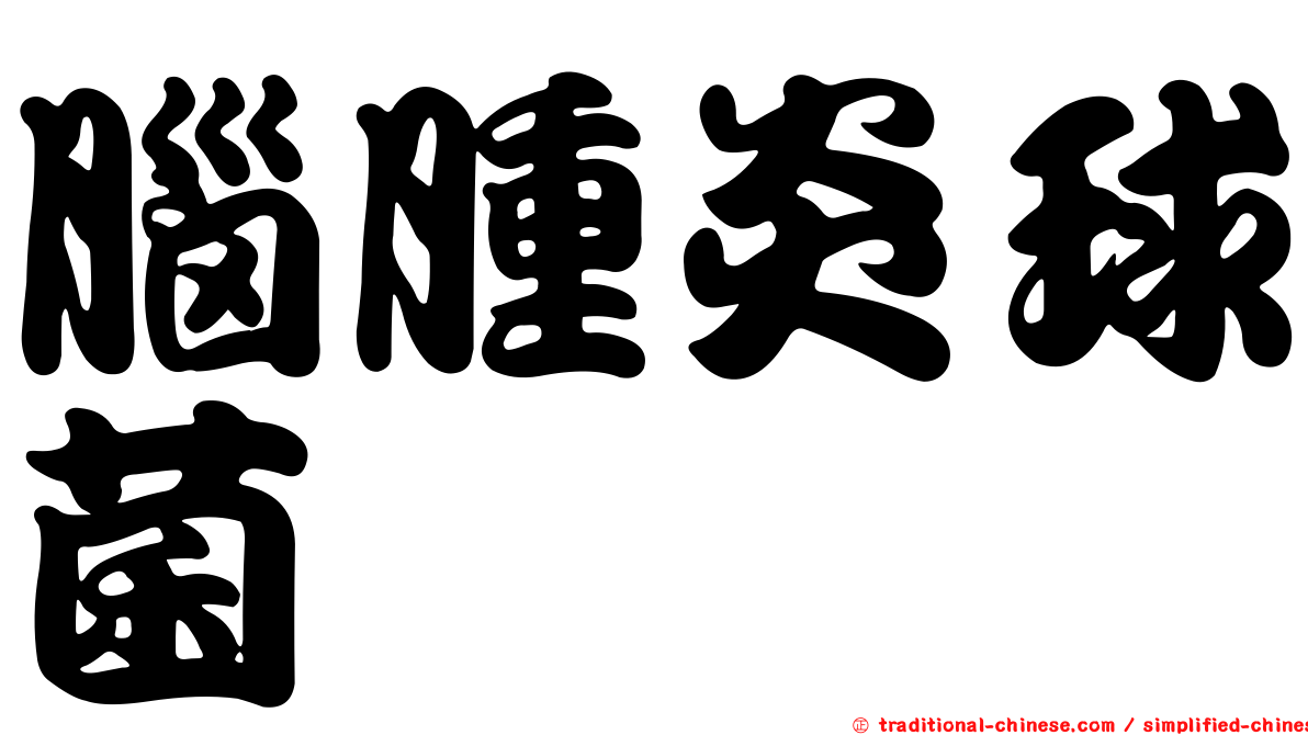 腦腫炎球菌
