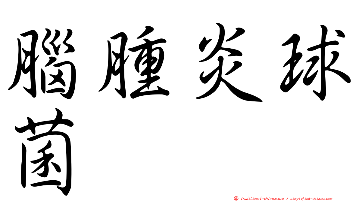 腦腫炎球菌