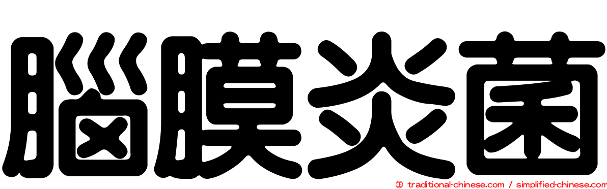 腦膜炎菌