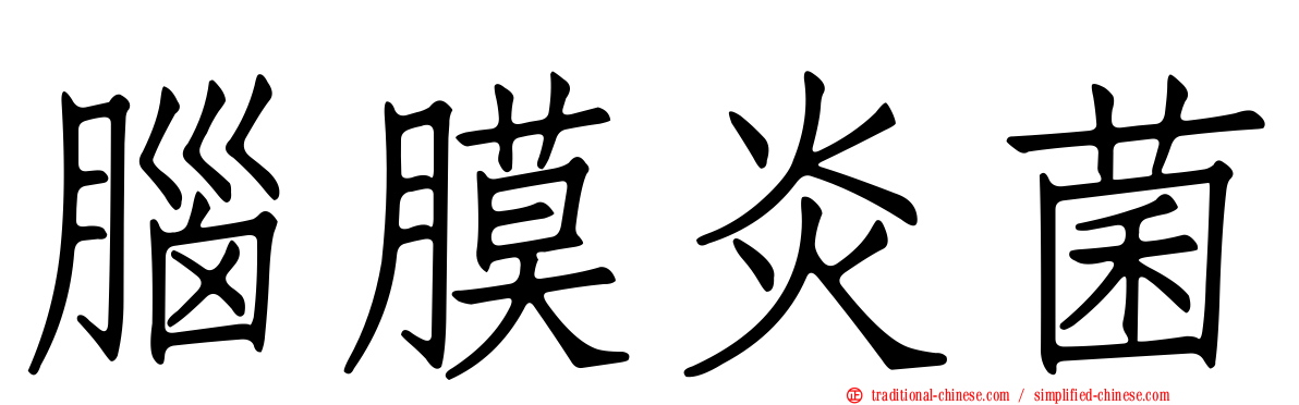 腦膜炎菌