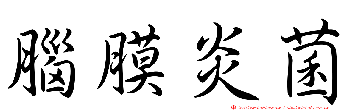 腦膜炎菌