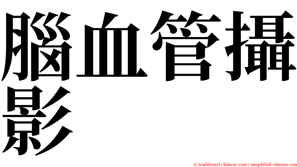 腦血管攝影 serif font