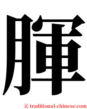 腪 serif font