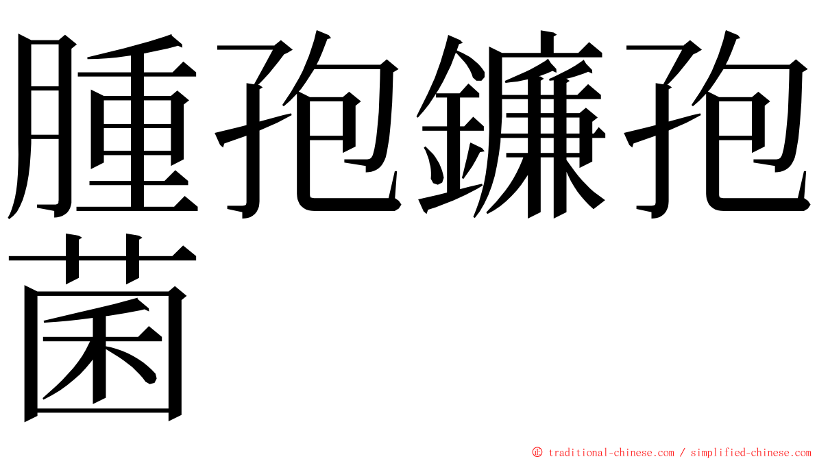 腫孢鐮孢菌 ming font