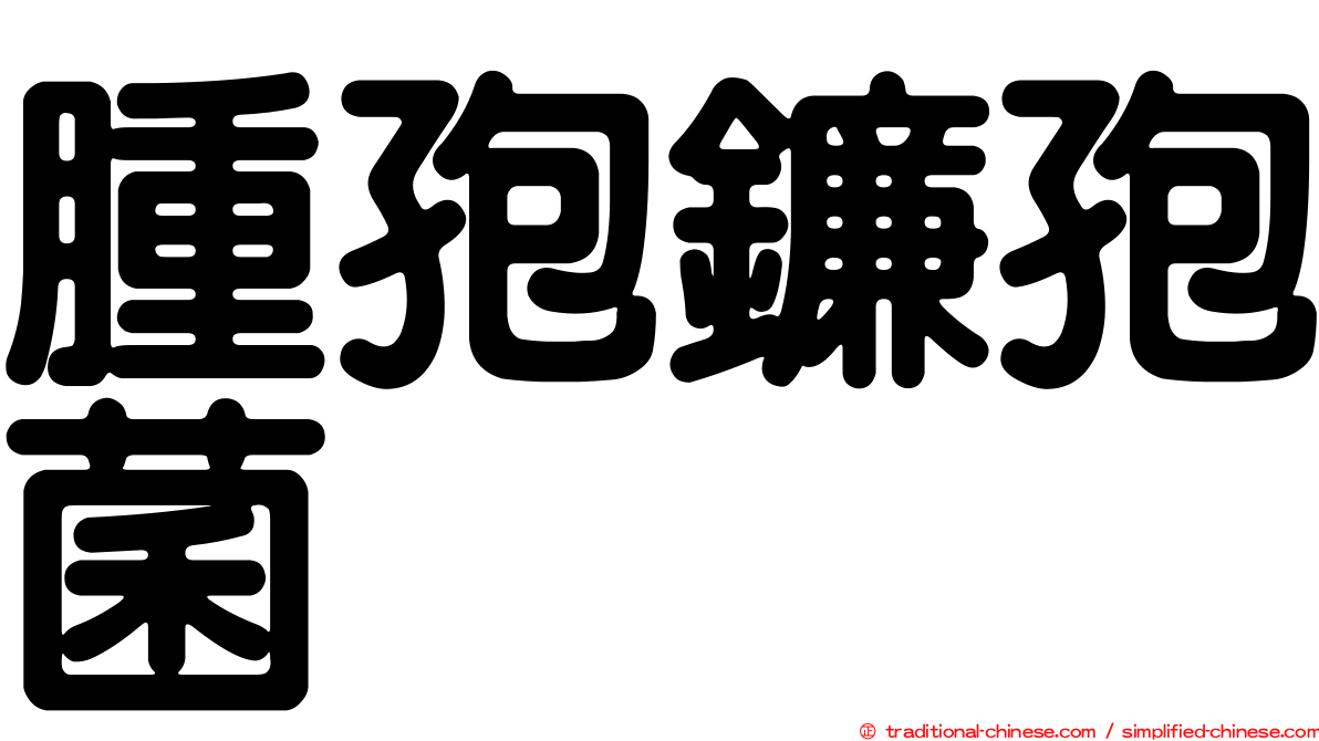 腫孢鐮孢菌