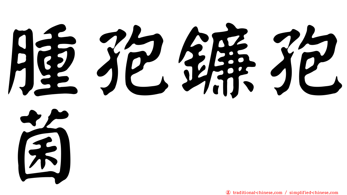 腫孢鐮孢菌