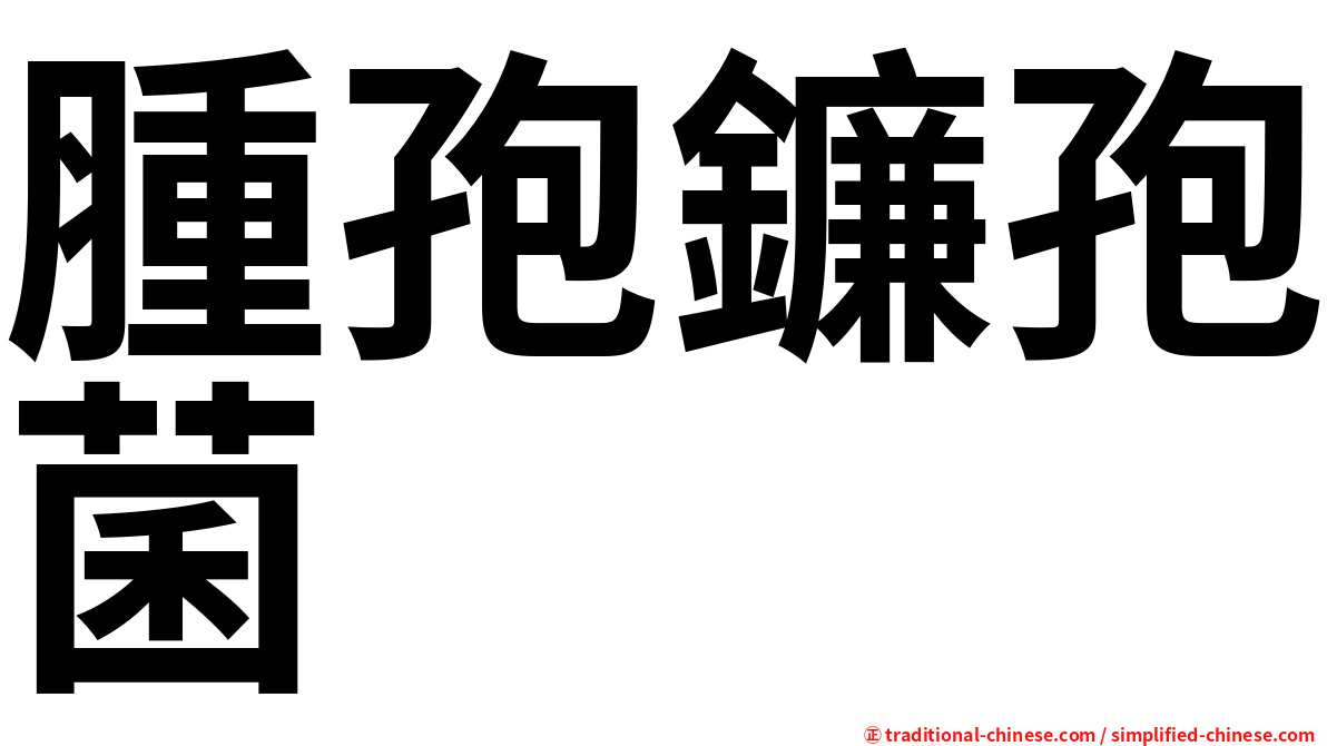 腫孢鐮孢菌