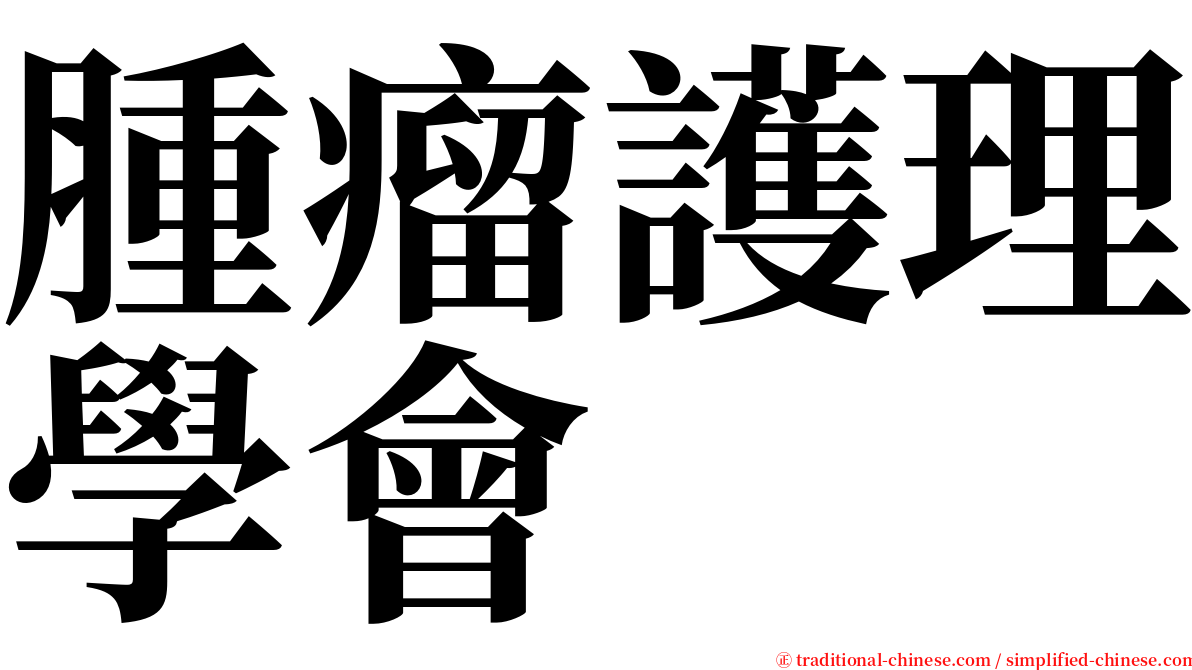 腫瘤護理學會 serif font